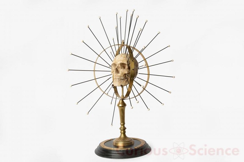 Craniometer